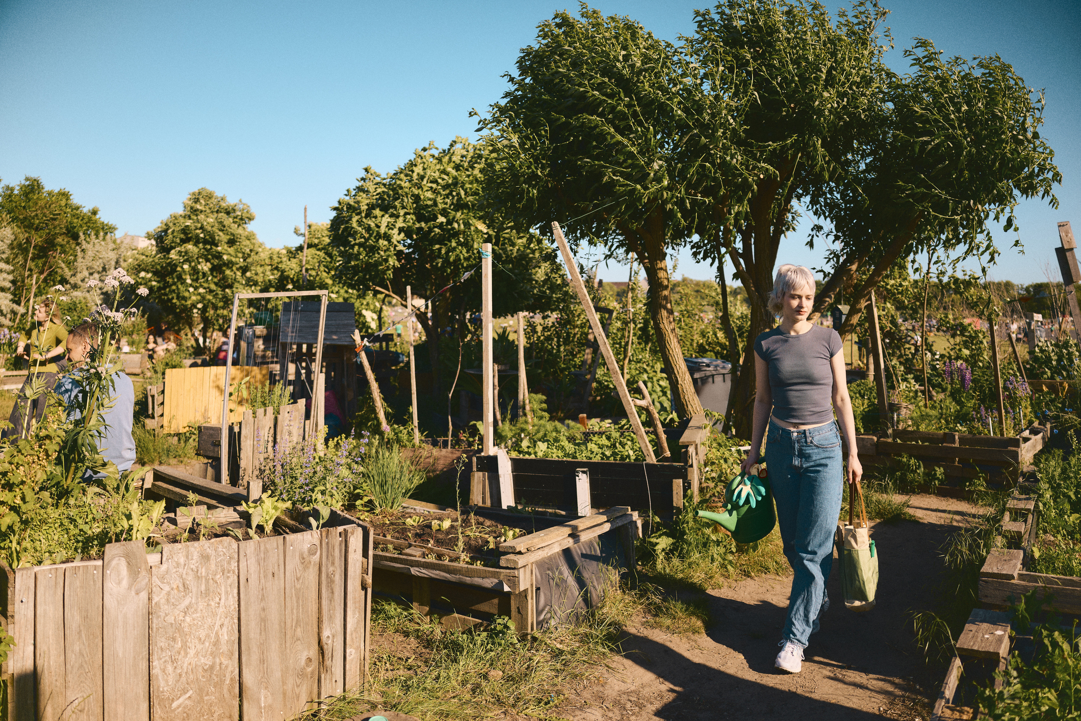 Person tidying up an allotment