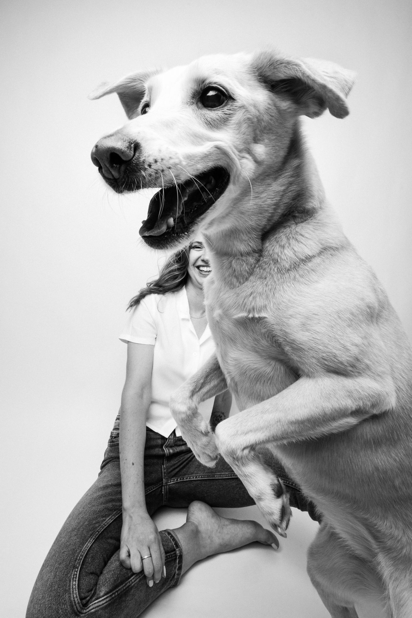 A dog jumping in the air in front of its owner