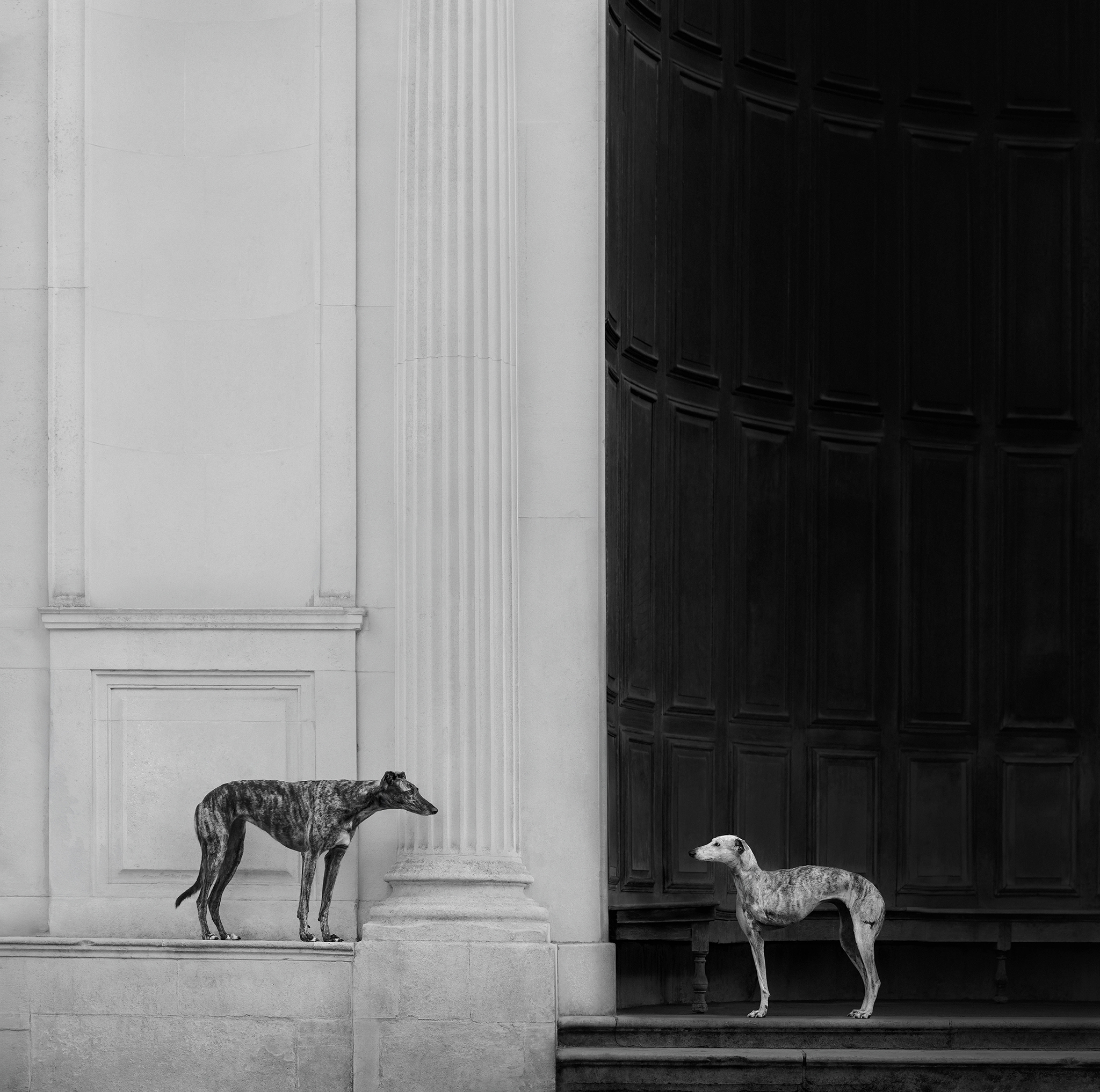Two dogs staring at each other from either side of a pillar in black and white