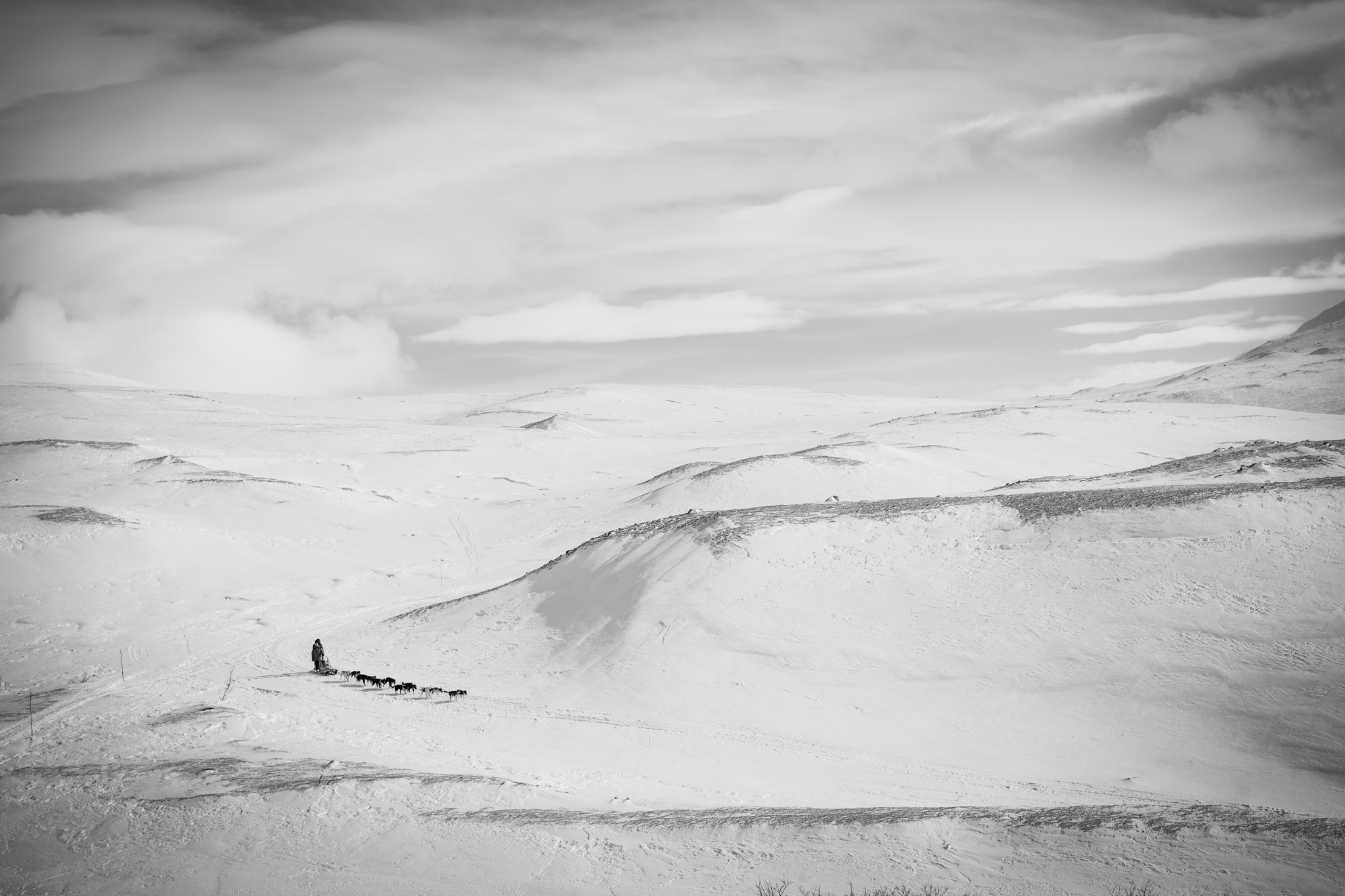 A dog sledding trip to Norway.