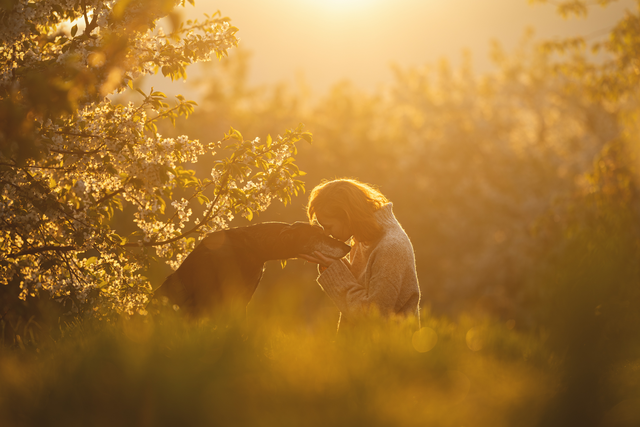 A woman and a dog embracing n the Sun