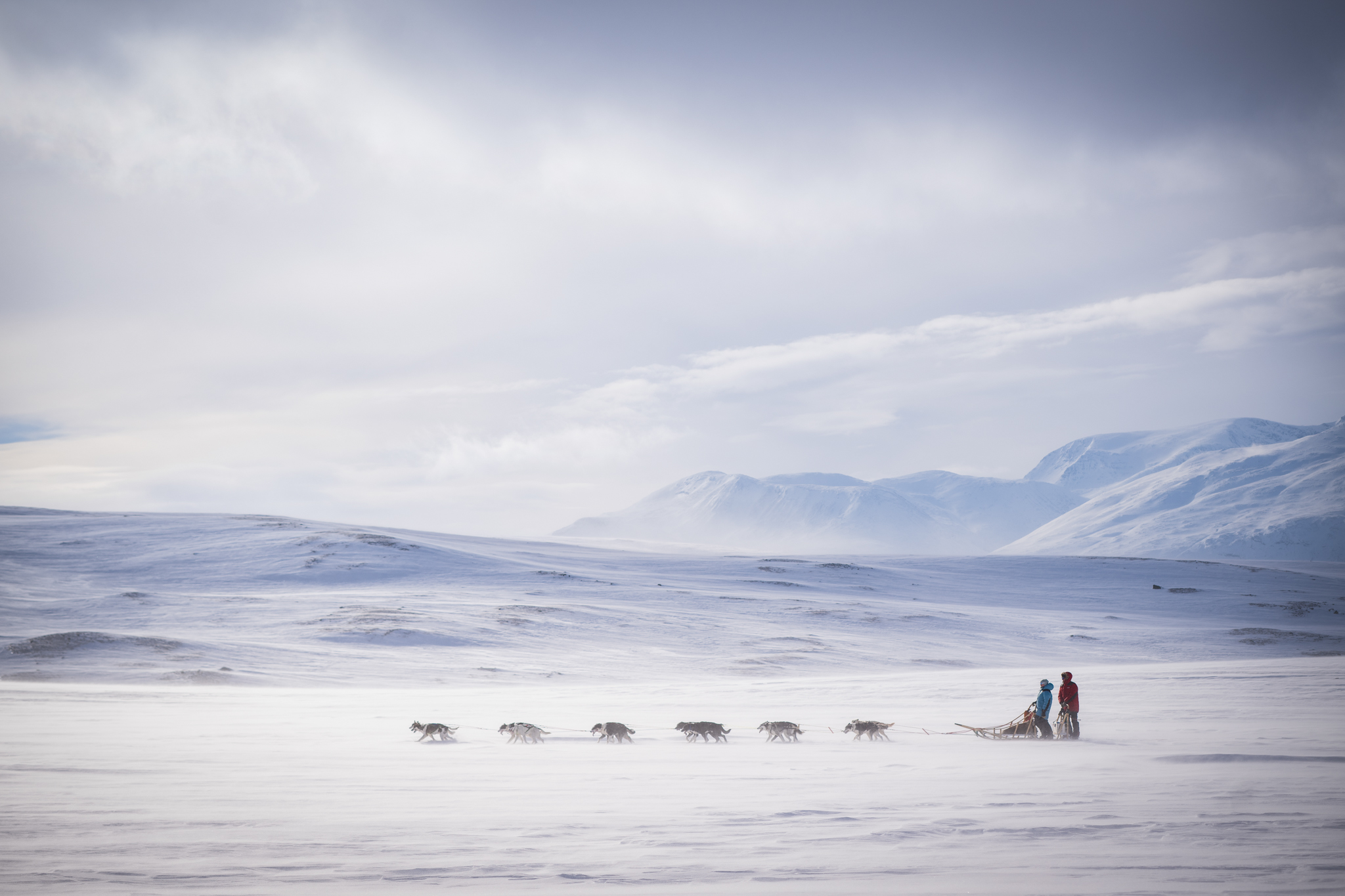 A dog sledding adventure in northern Norway.
