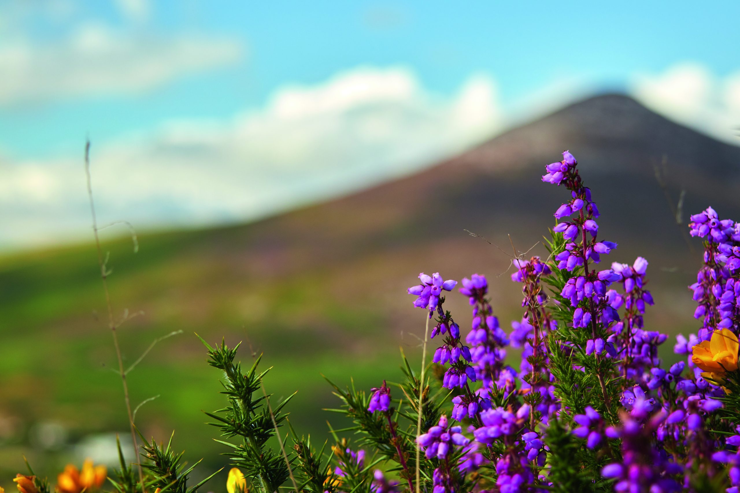 The Sugarloaf mountain in Wicklow, Ireland
