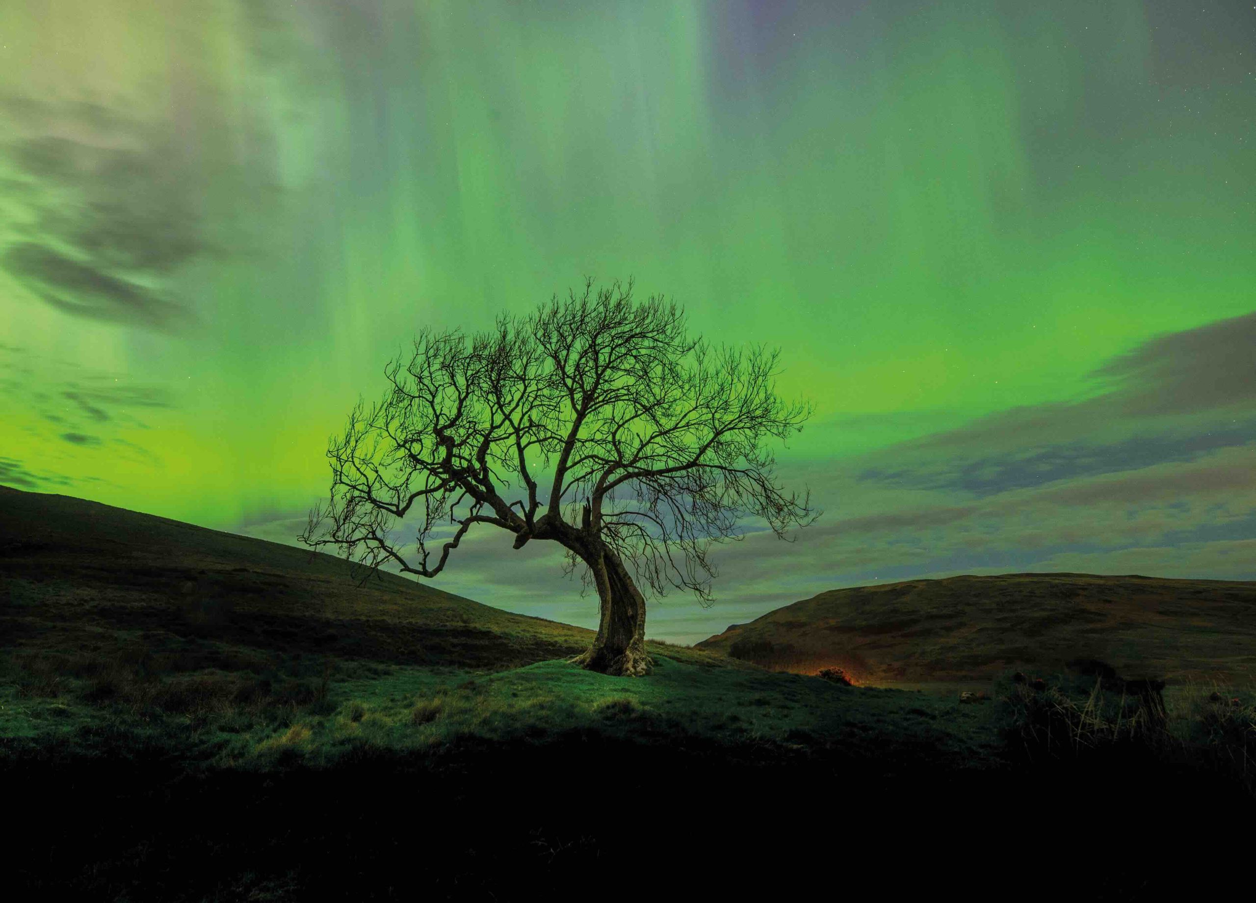 Aurora Arbor-ealis by John Rae Countryfile Calendar 2026