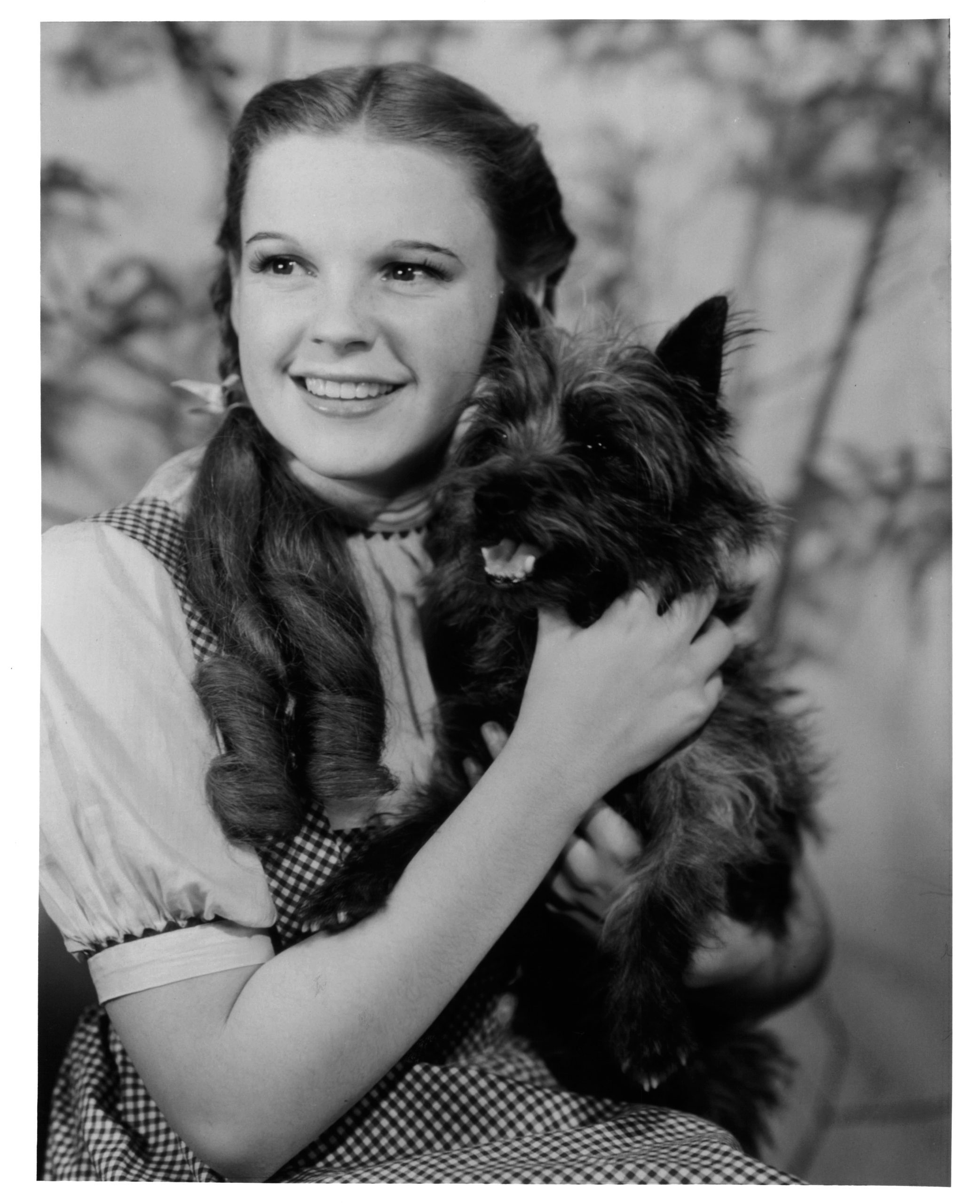 Judy Garland holding her beloved dog Toto in a promotional portrait from the film 'The Wizard Of Oz', 1939. (Photo by Metro-Goldwyn-Mayer/Getty Images)