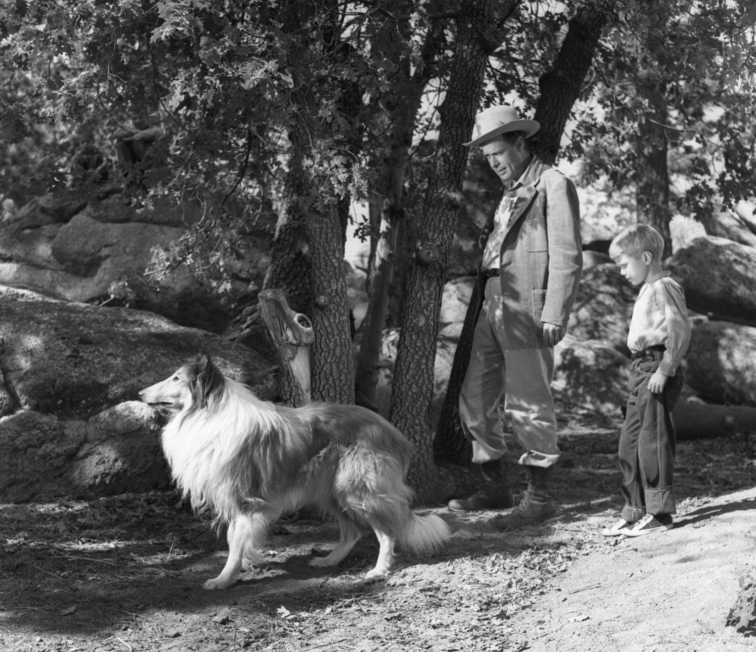LOS ANGELES - AUGUST 24: CBS television show, Lassie. Ross Elliott (as Joe Smith, the dog catcher), Lassie and Jon Provost (as Timmy Martin) with Lassie in the episode, The Maverick. August 24, 1959. (Photo by CBS via Getty Images)