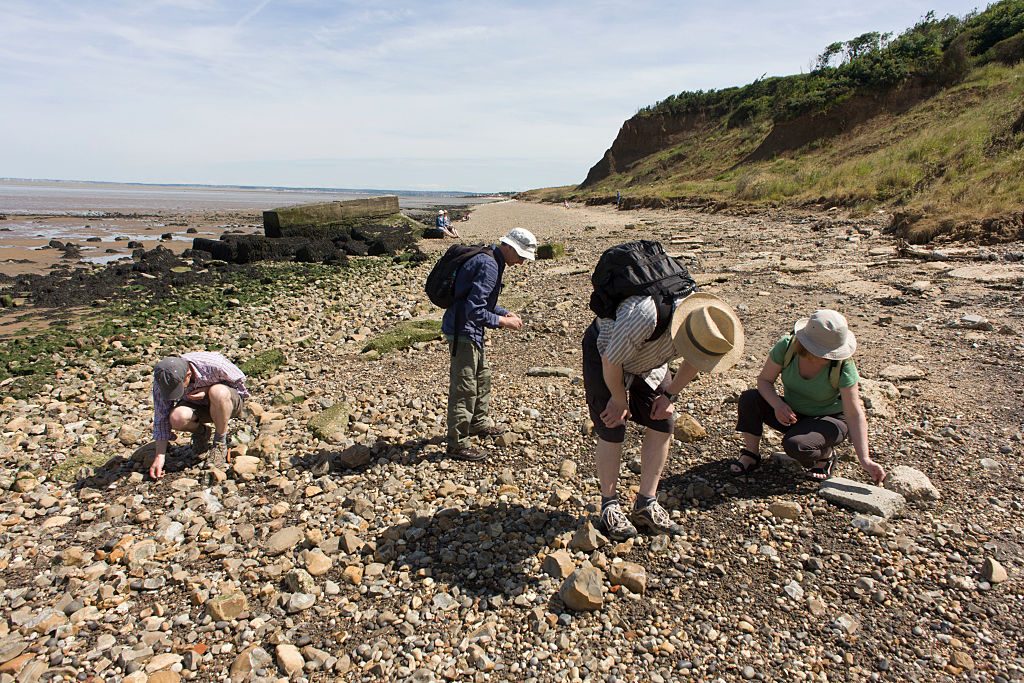 Fossil hunters bend down looking among Eocene rocks and stone at Warden Point, Isle of S