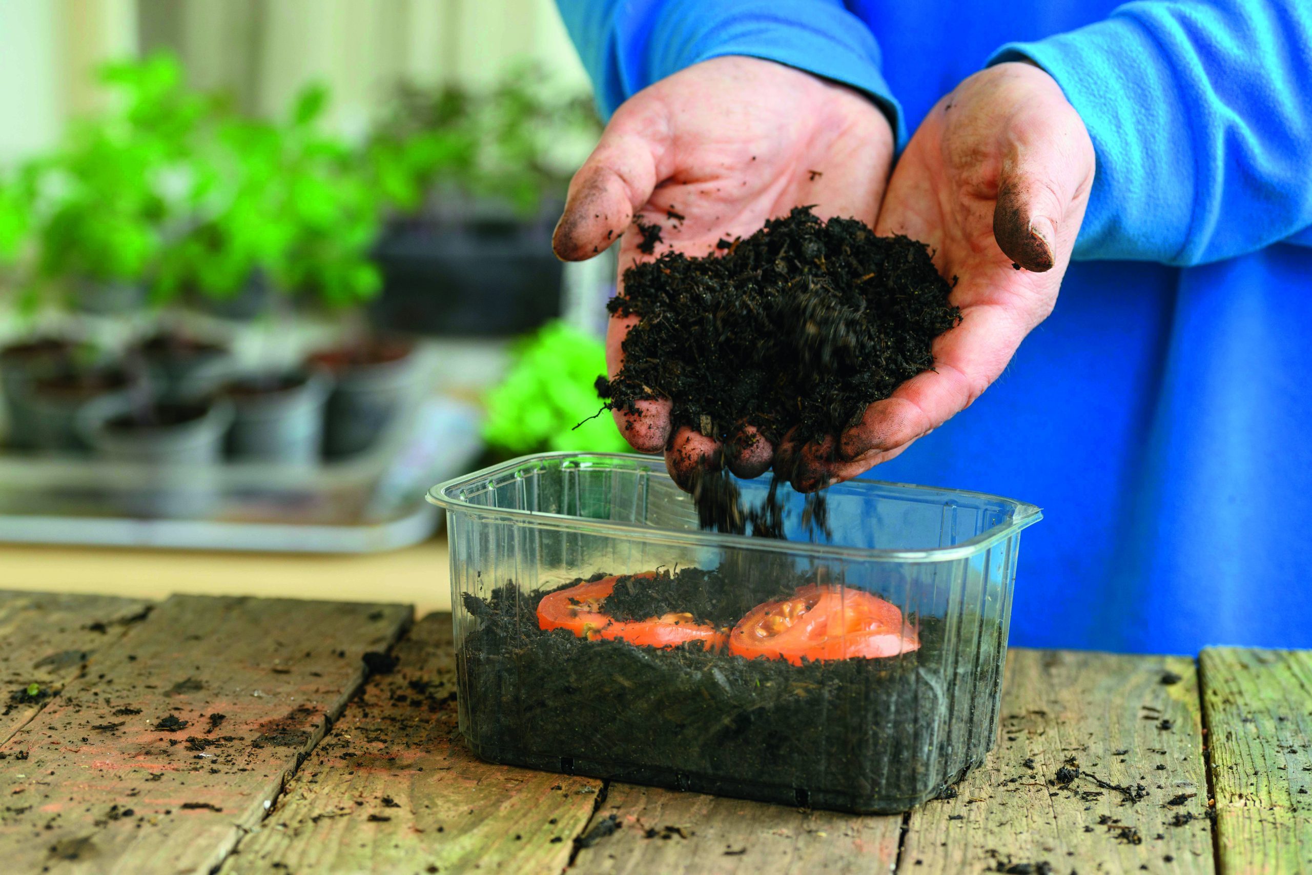 Grow Your Groceries