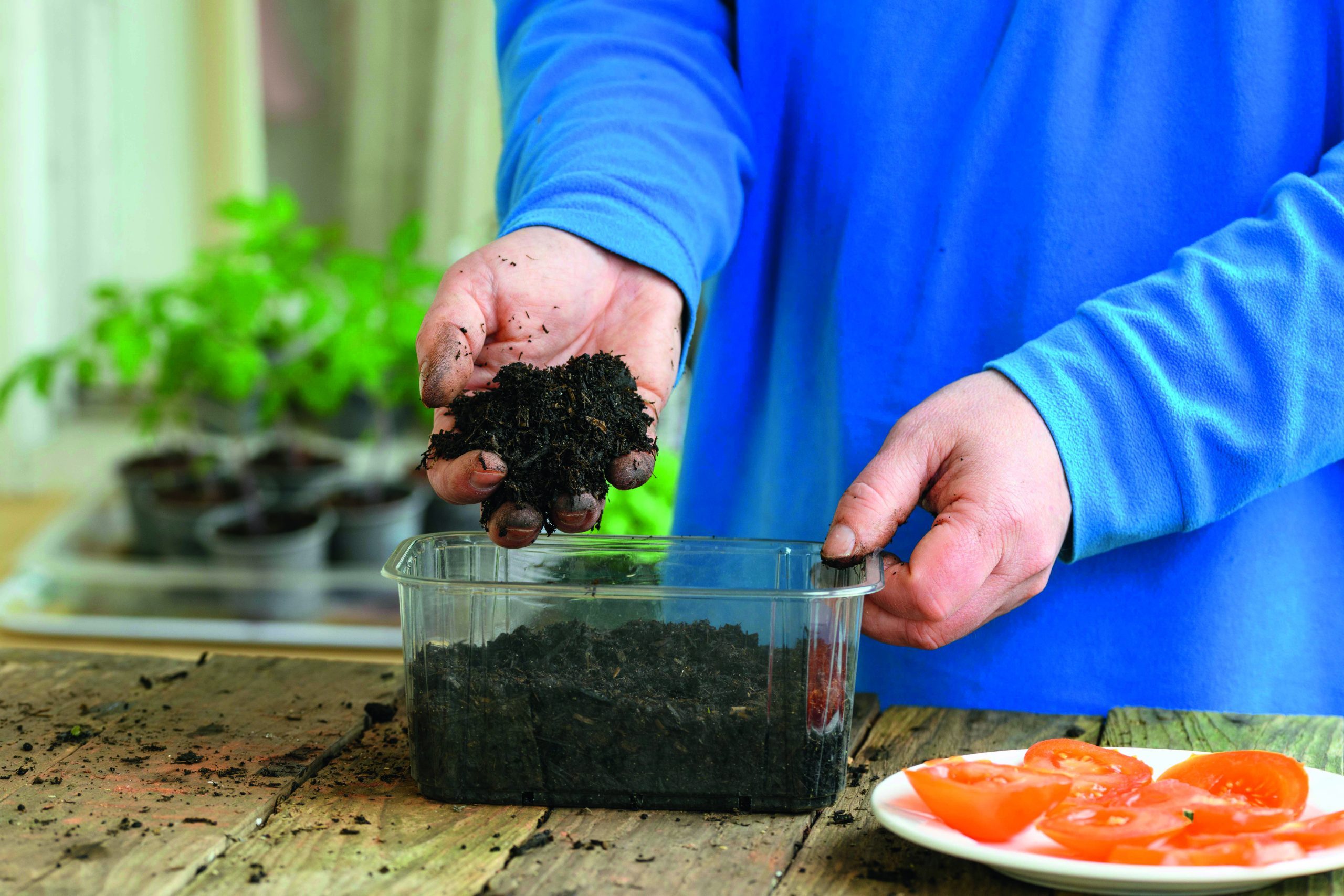 Grow Your Groceries