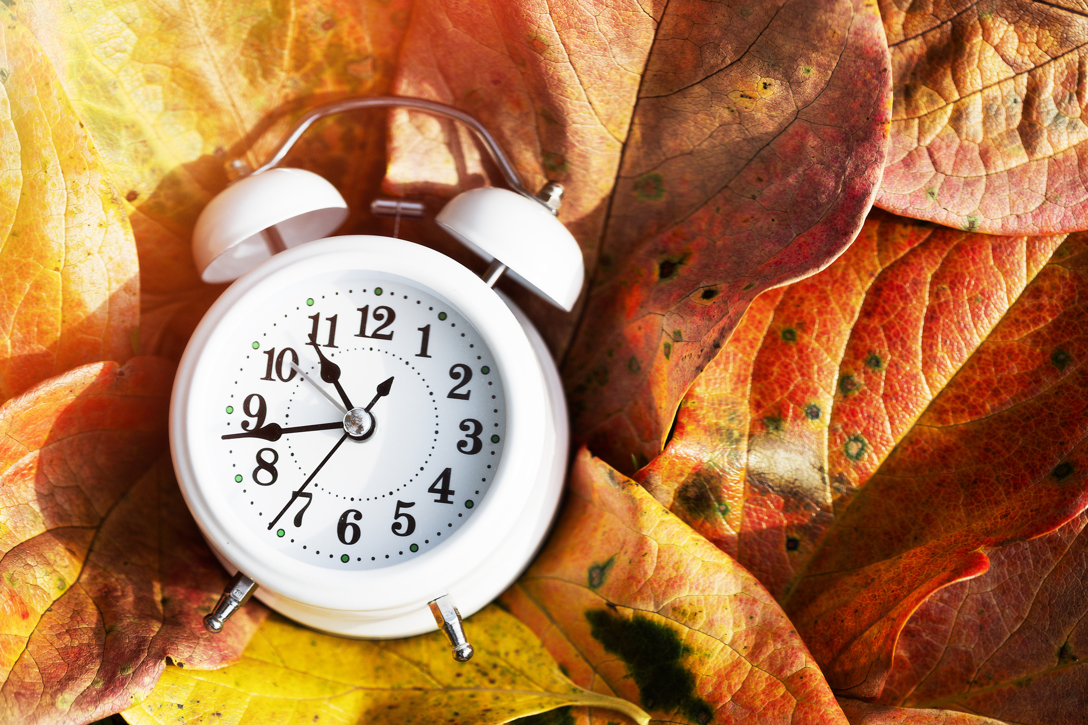 A clock in a pile of leaves