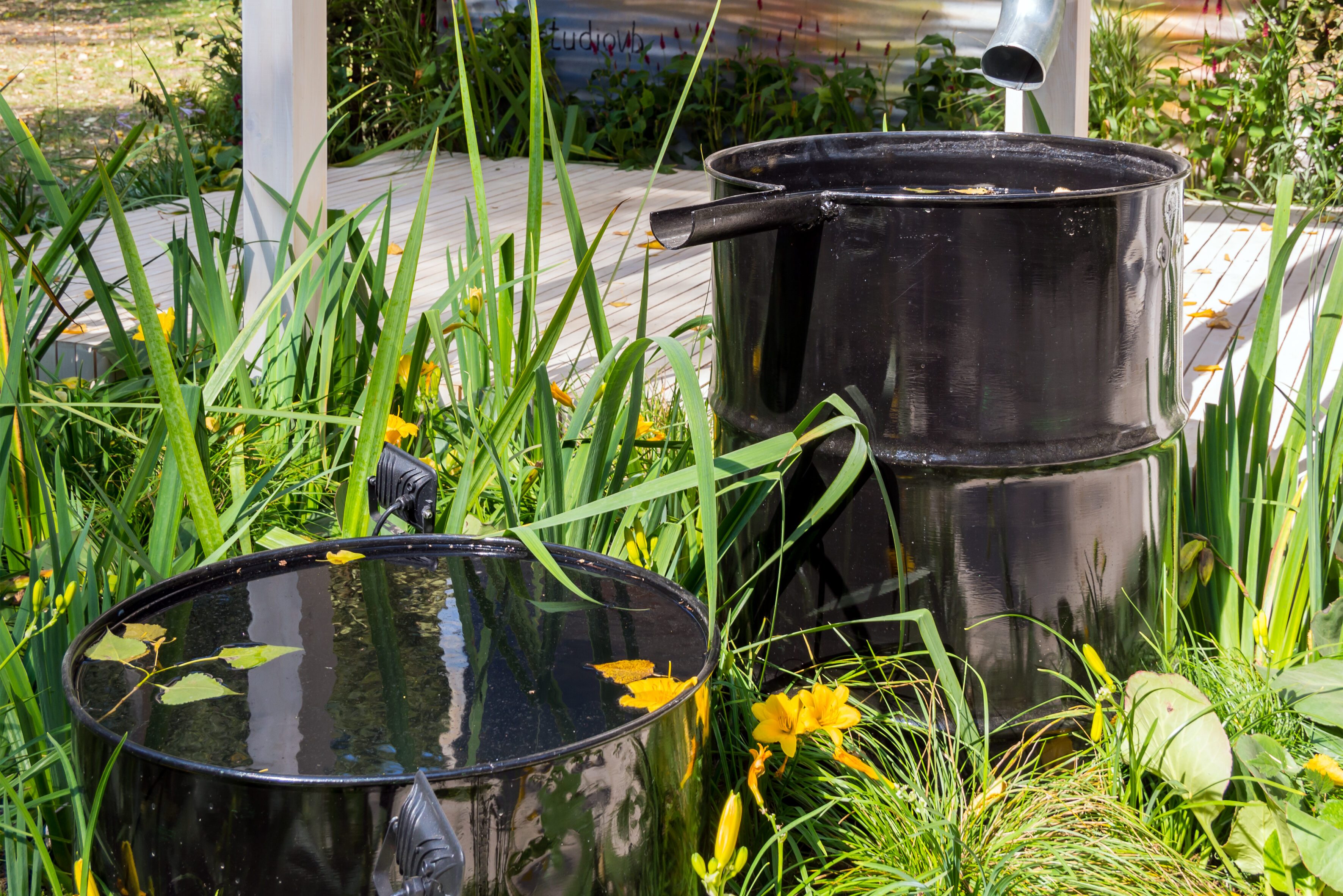 System for collecting rainwater from two barrels with overflow
