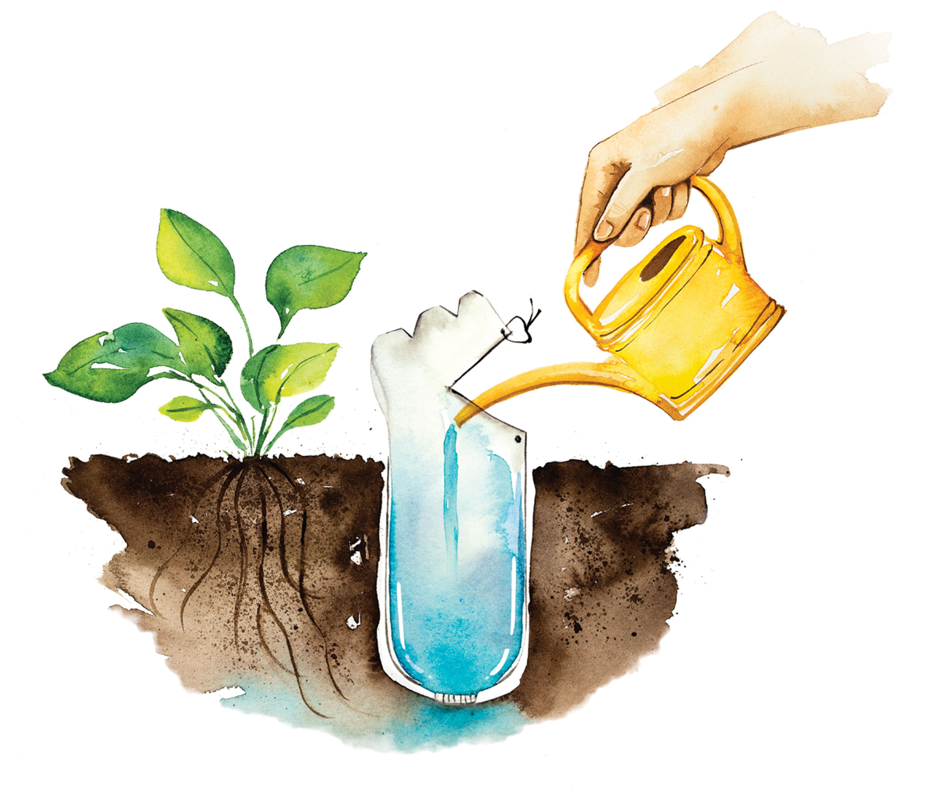 Irrigation system how to