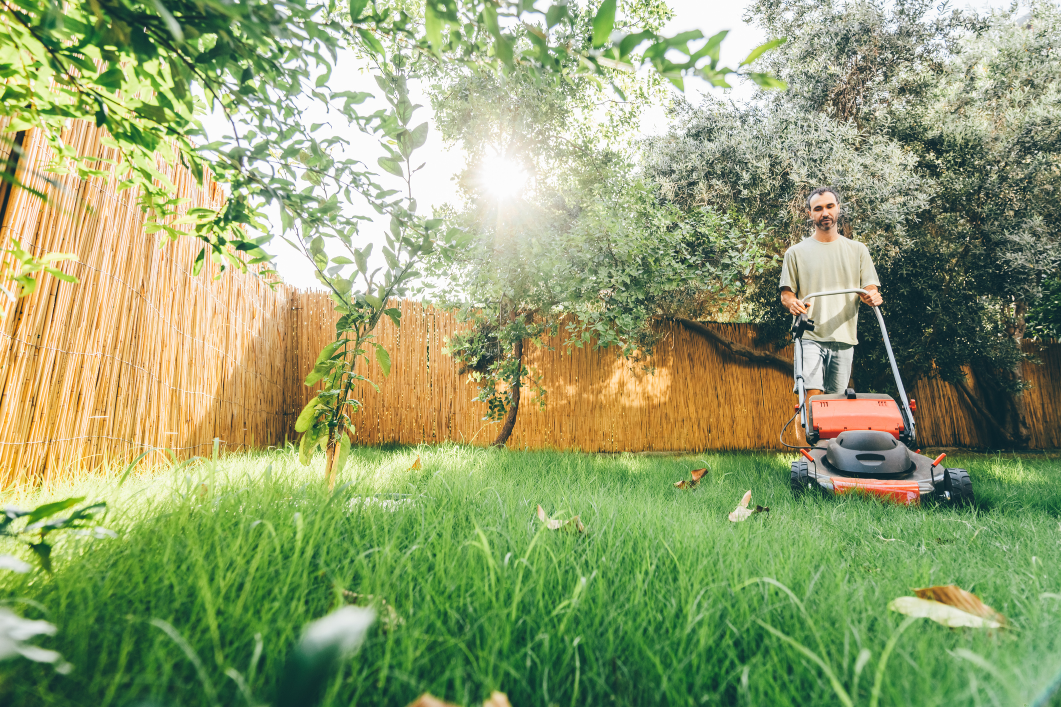 A man mowing his grass in a garden