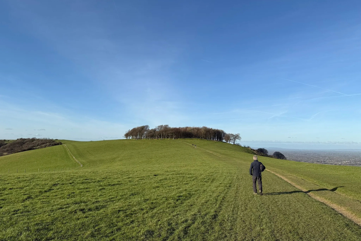 Washington Bostal and Chanctonbury Ring Circular.