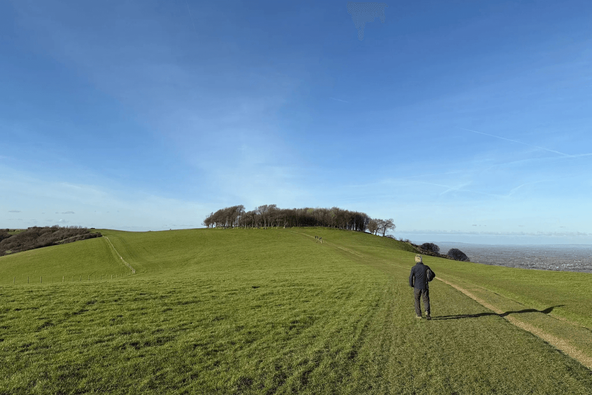 Washington Bostal and Chanctonbury Ring Circular.