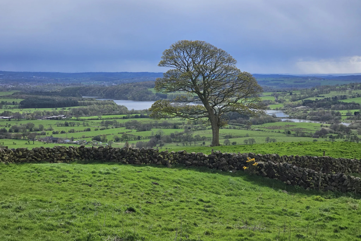 View of the Roaches and Lud's Church circular.