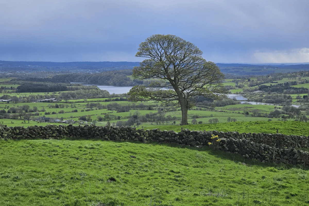 View of the Roaches and Lud's Church circular.