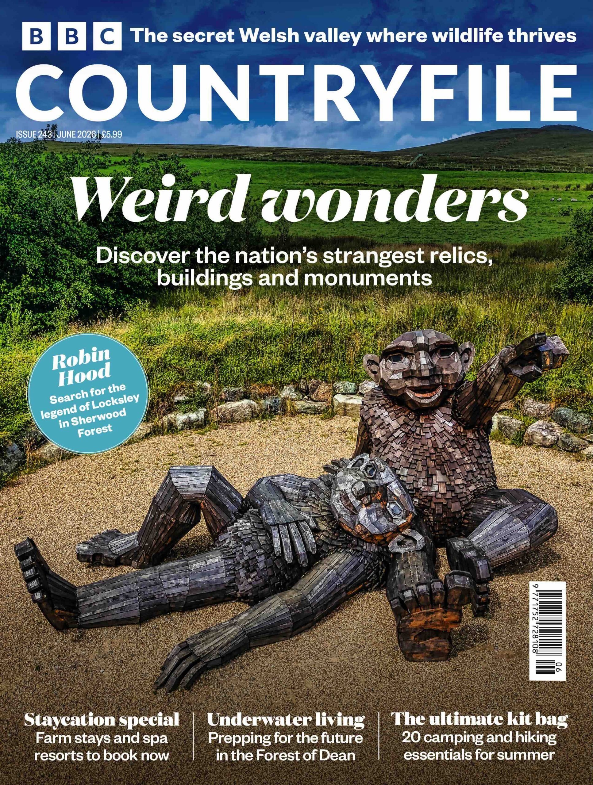 CFM 243 June cover