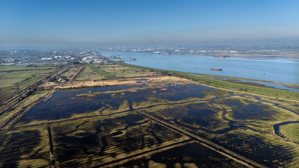 Fields lie next to the River Thames in the area where the Lower Thames Crossing might be built 