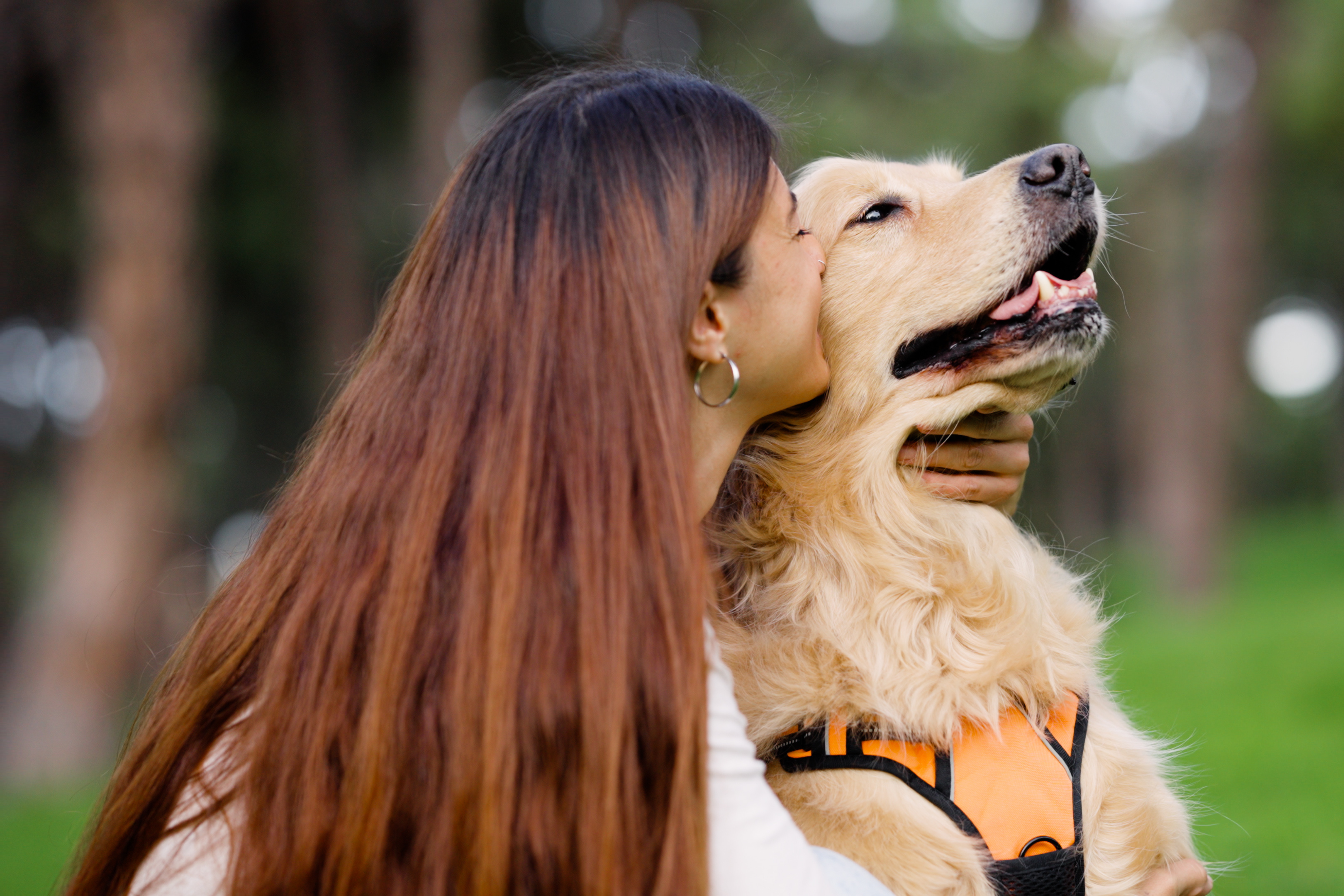 i love you in dog language