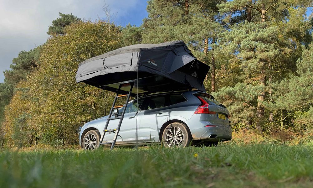 Silver car parked on grass with a black tent box on the roof and a ladder coming down to the ground