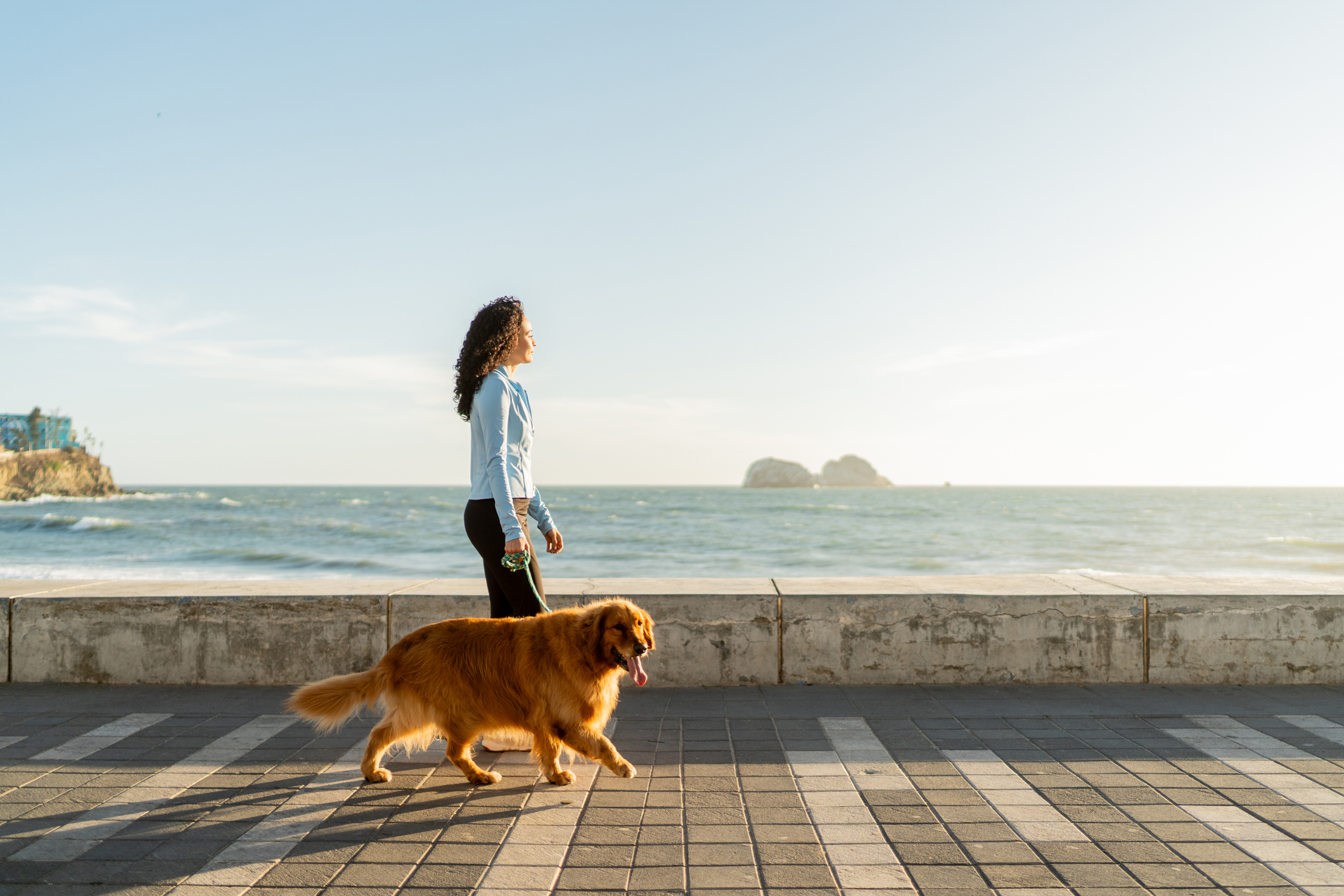 A person walking their dog along the beach