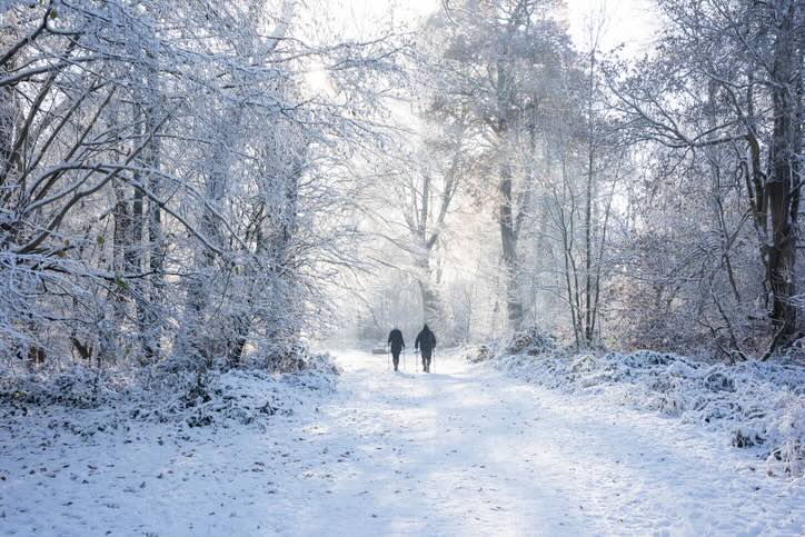 Boxing Day walk tradition