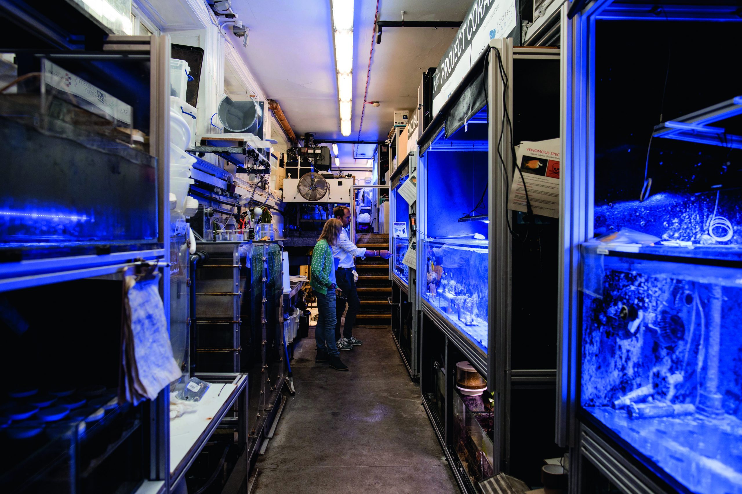 hornium museum coral spawning lab