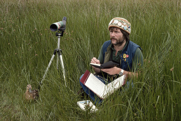 Bill Oddie, former 'Goodie', presenter and birdwatcher, waiting patiently for birds in a field, 1982. 
