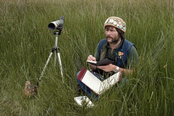 Bill Oddie, former 'Goodie', presenter and birdwatcher, waiting patiently for birds in a field, 1982. 