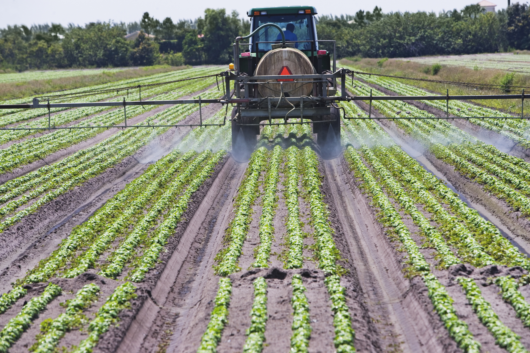 A tractor spraying pesticides onto a field