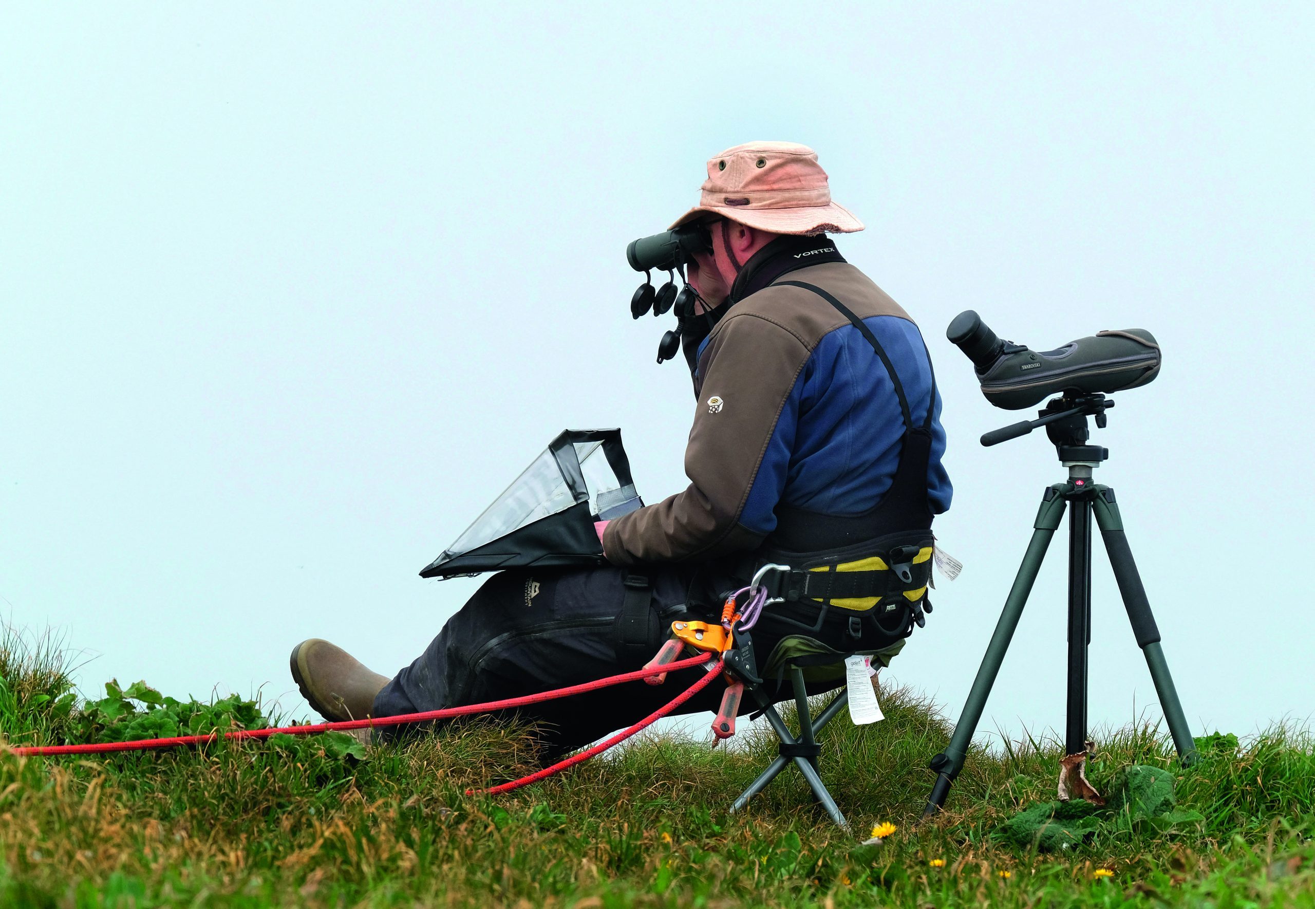 J8DD52 Bird watcher tethered to cliff top for safety observing and recording seabird colony.