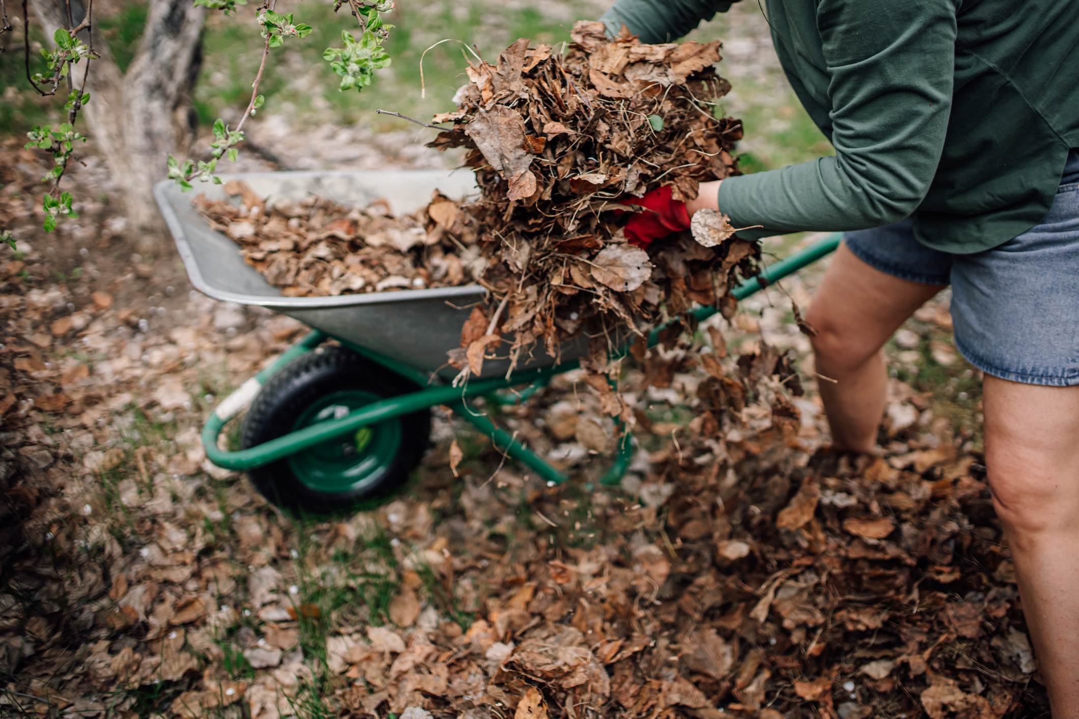 A person picking up a large pile of leaves
