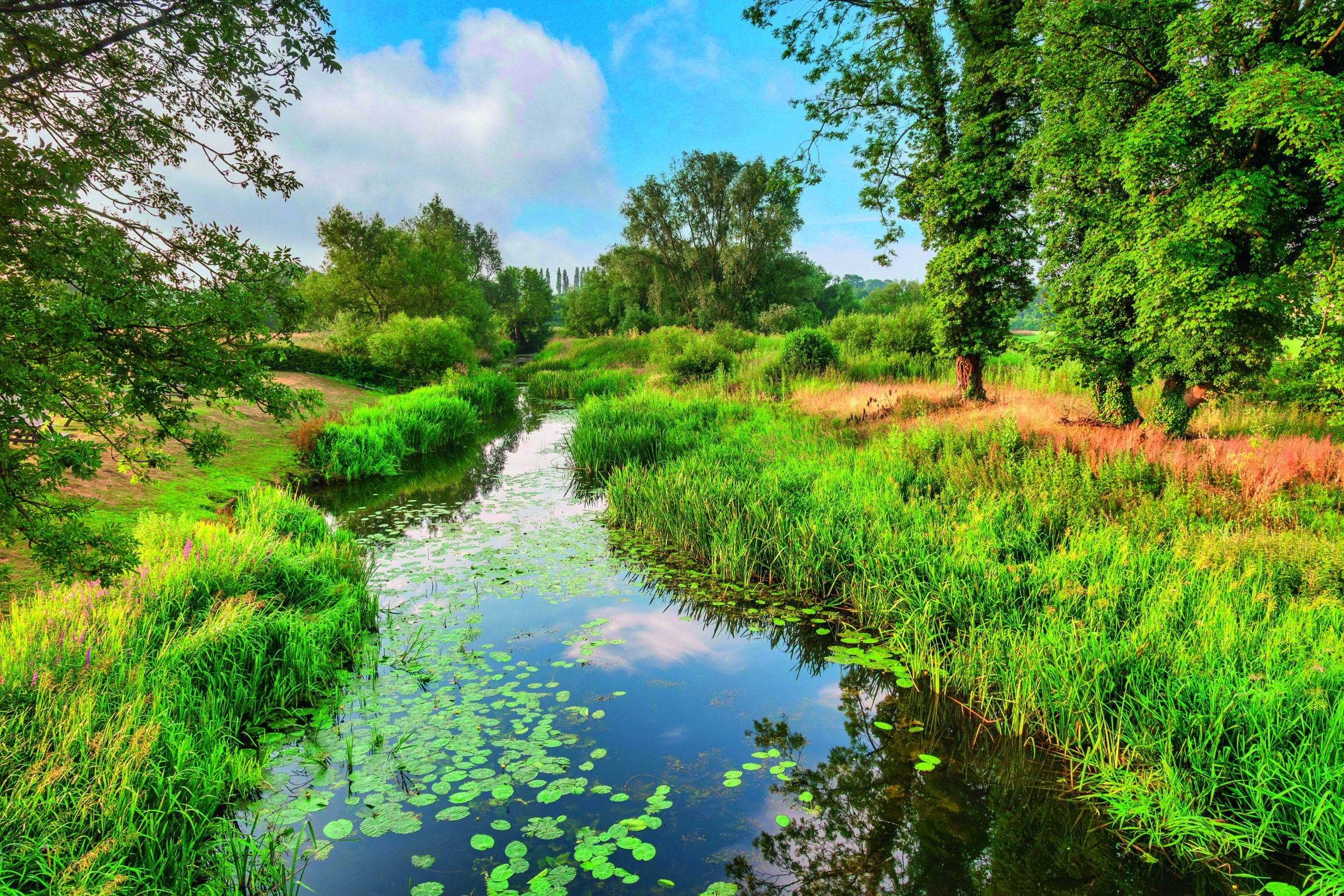 River Stour at Nayland, Suffolk, England, in the Constable Country.