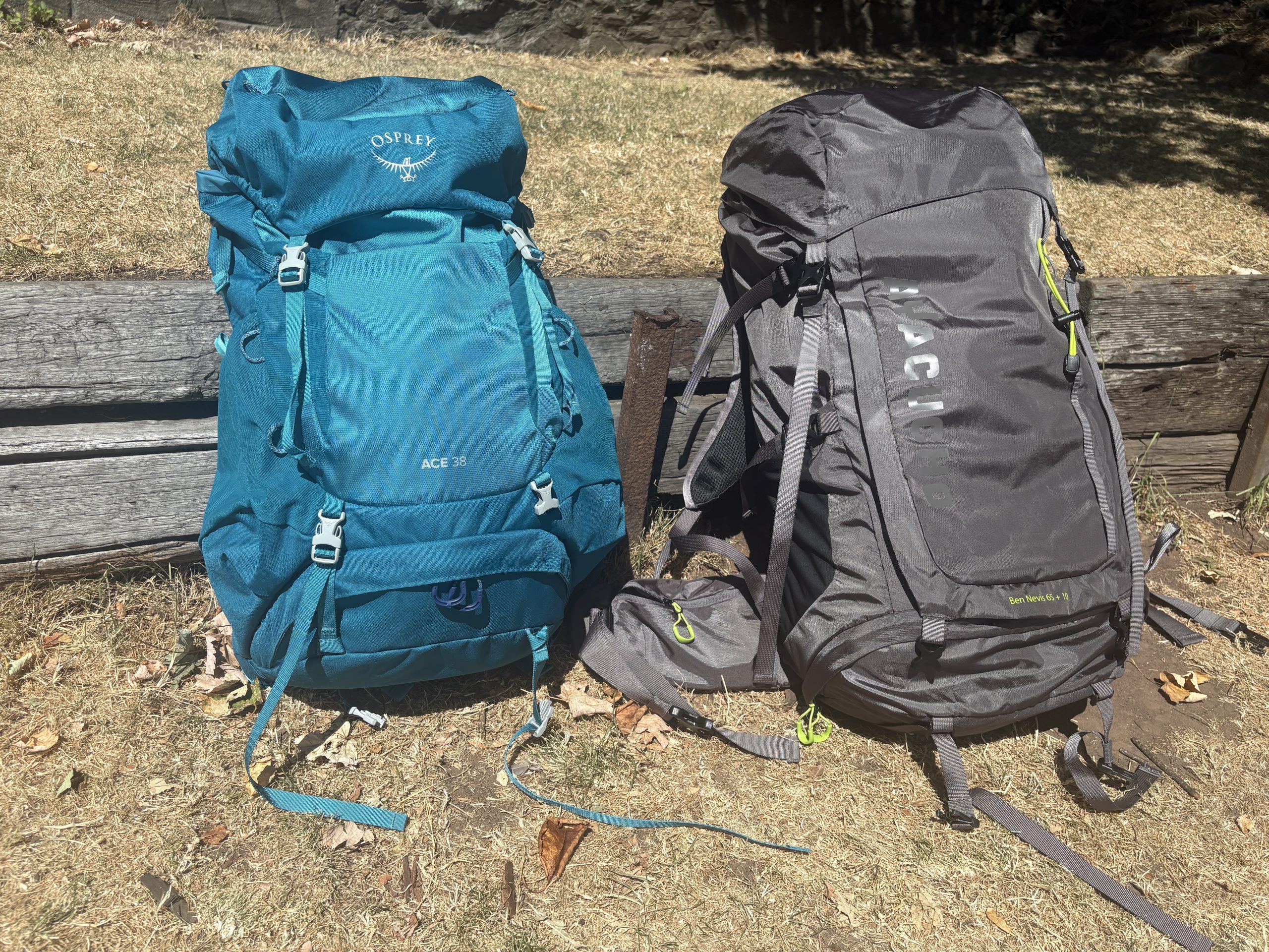 Two backpakcs