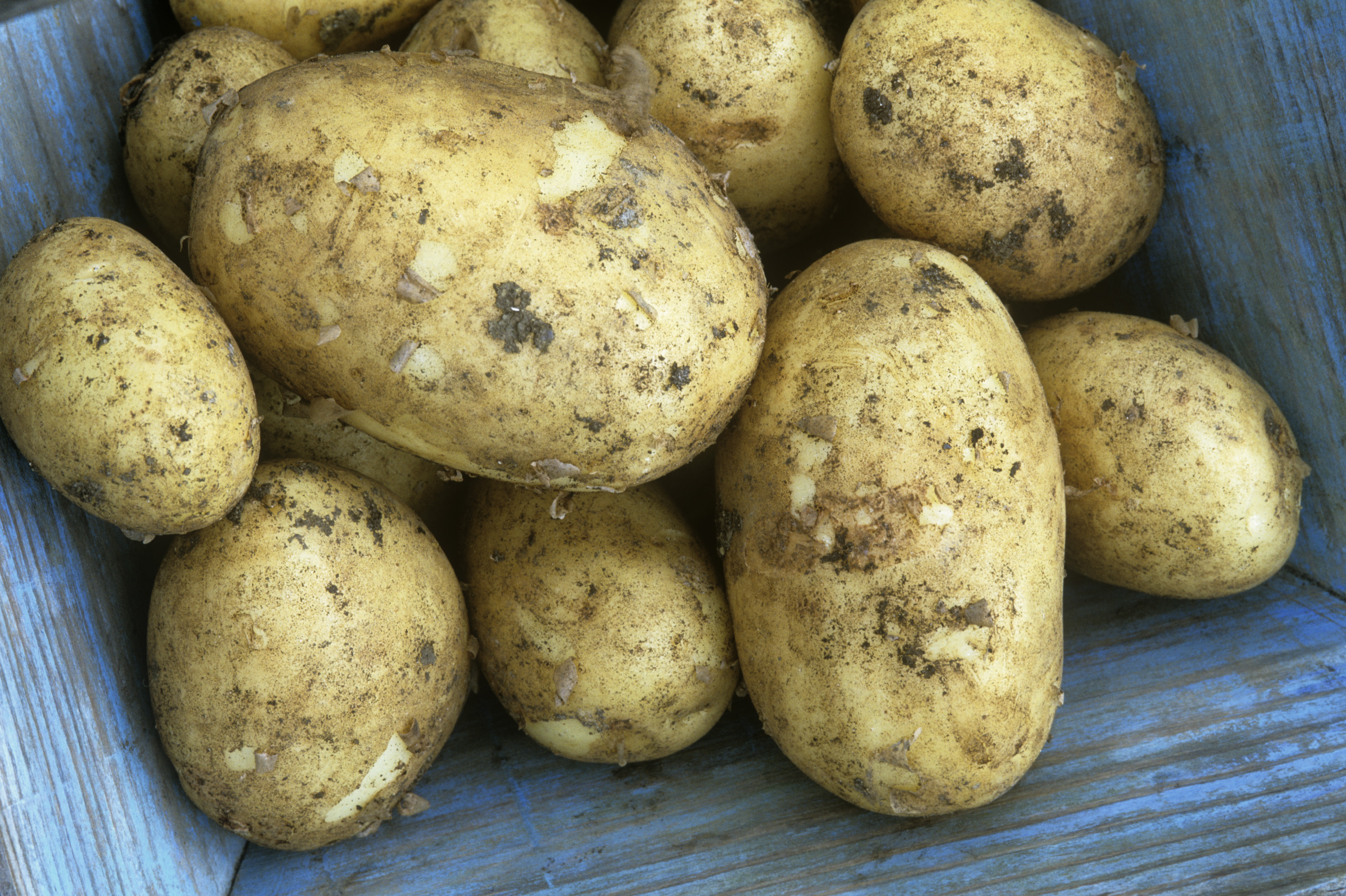 Potatoes