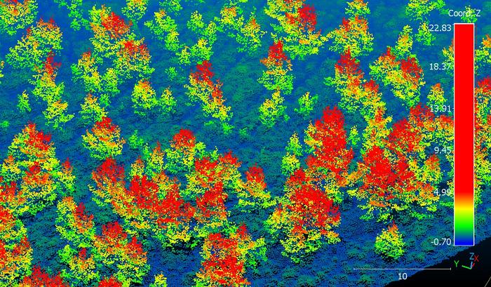 A LIDAR image of a forest in Scotland