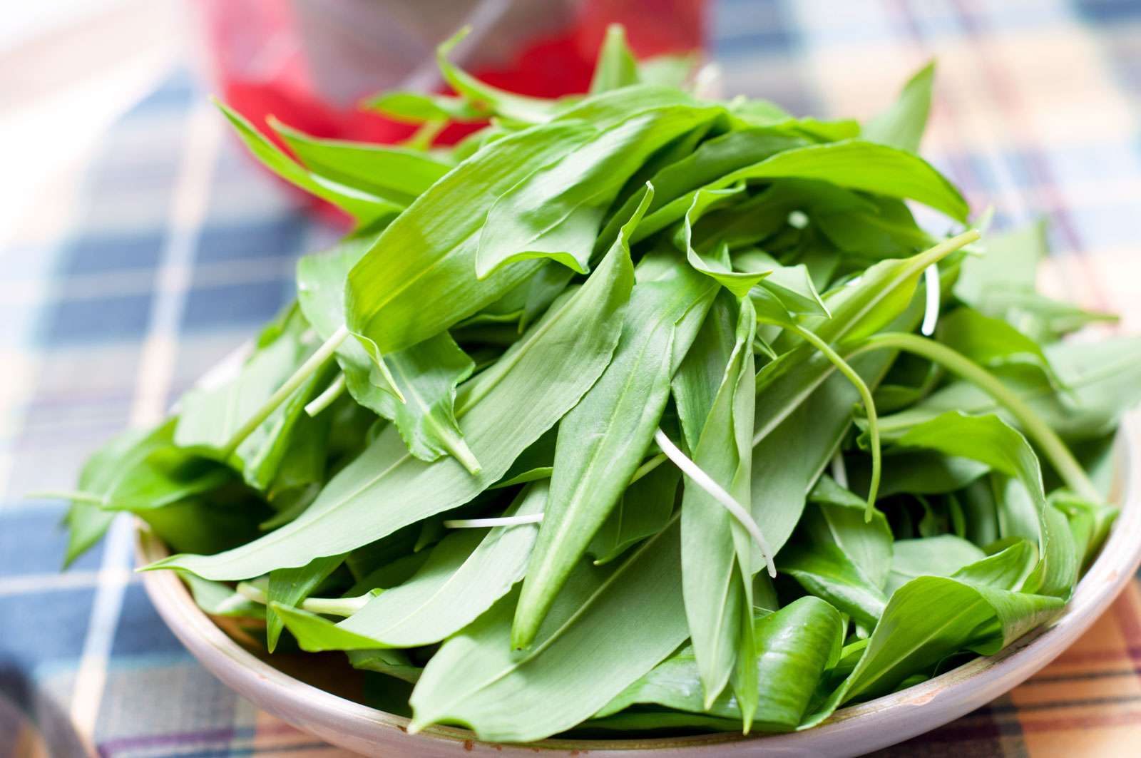 wild-garlic-leaves-609bb62