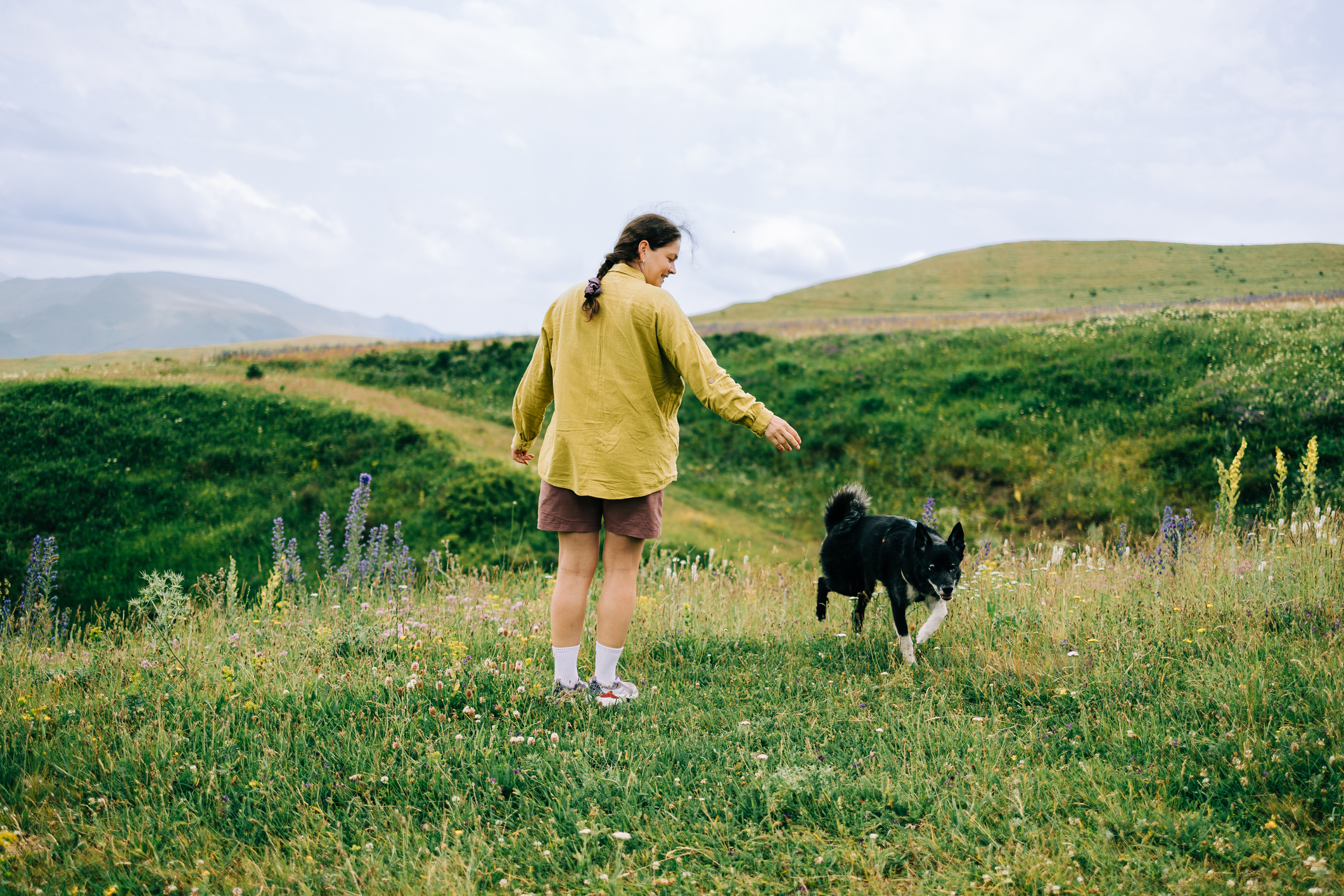 A dog with its owner on top of a hill