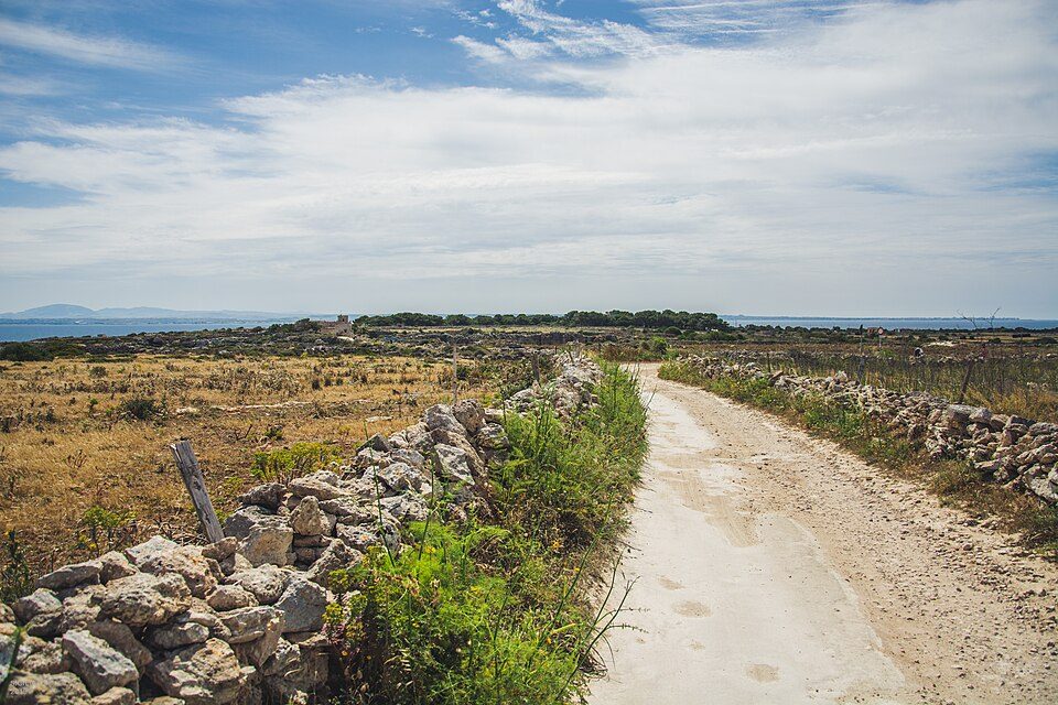 Favignana island