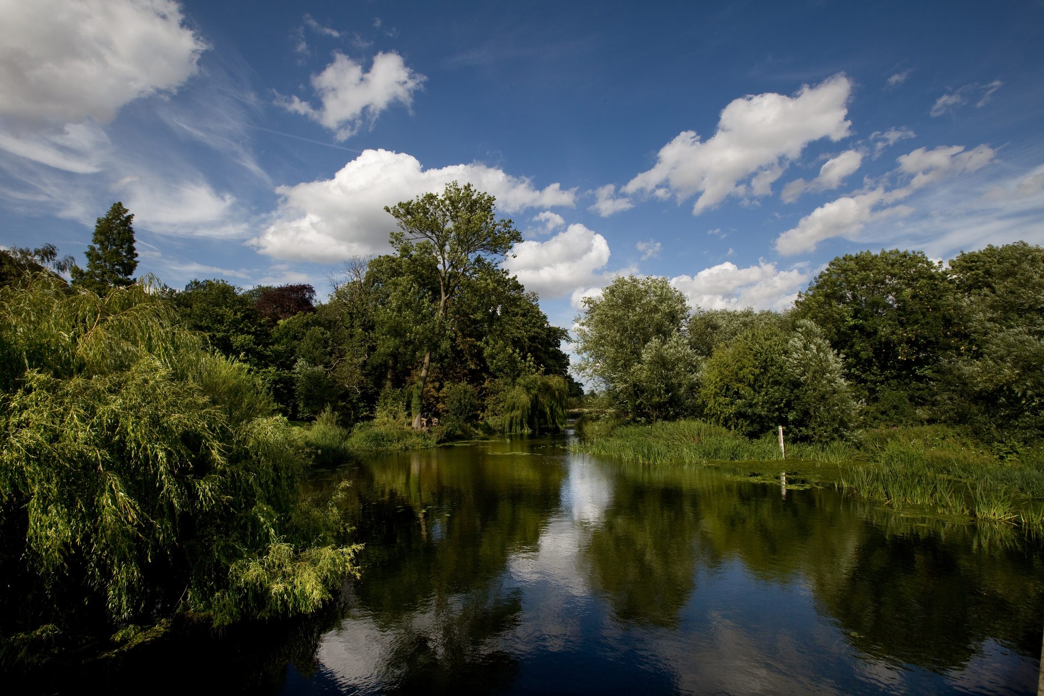 Grantchester Mill Pond on sunny day